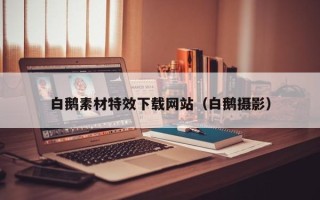 巴音郭楞白鹅素材特效下载网站（白鹅摄影）